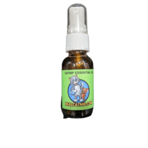 Cat Nip Essential Oil